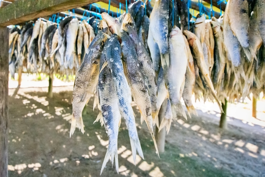 3 Bedroom Property for Sale in Atlantic Sands Private Estate Western Cape